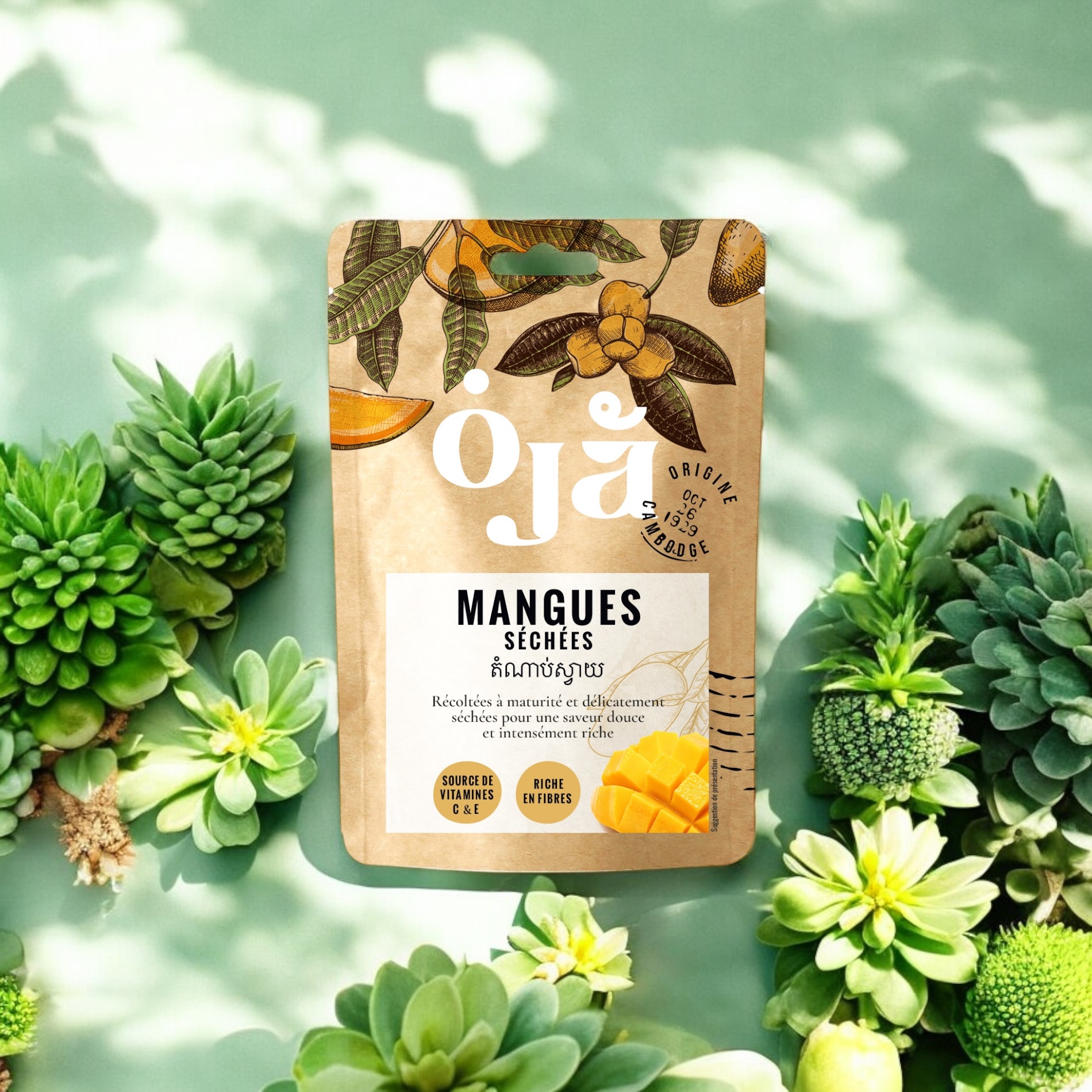 Visite exclusive chez MISOTA : nos fruits épluchés et tranchés à la main, séchés tout en douceur