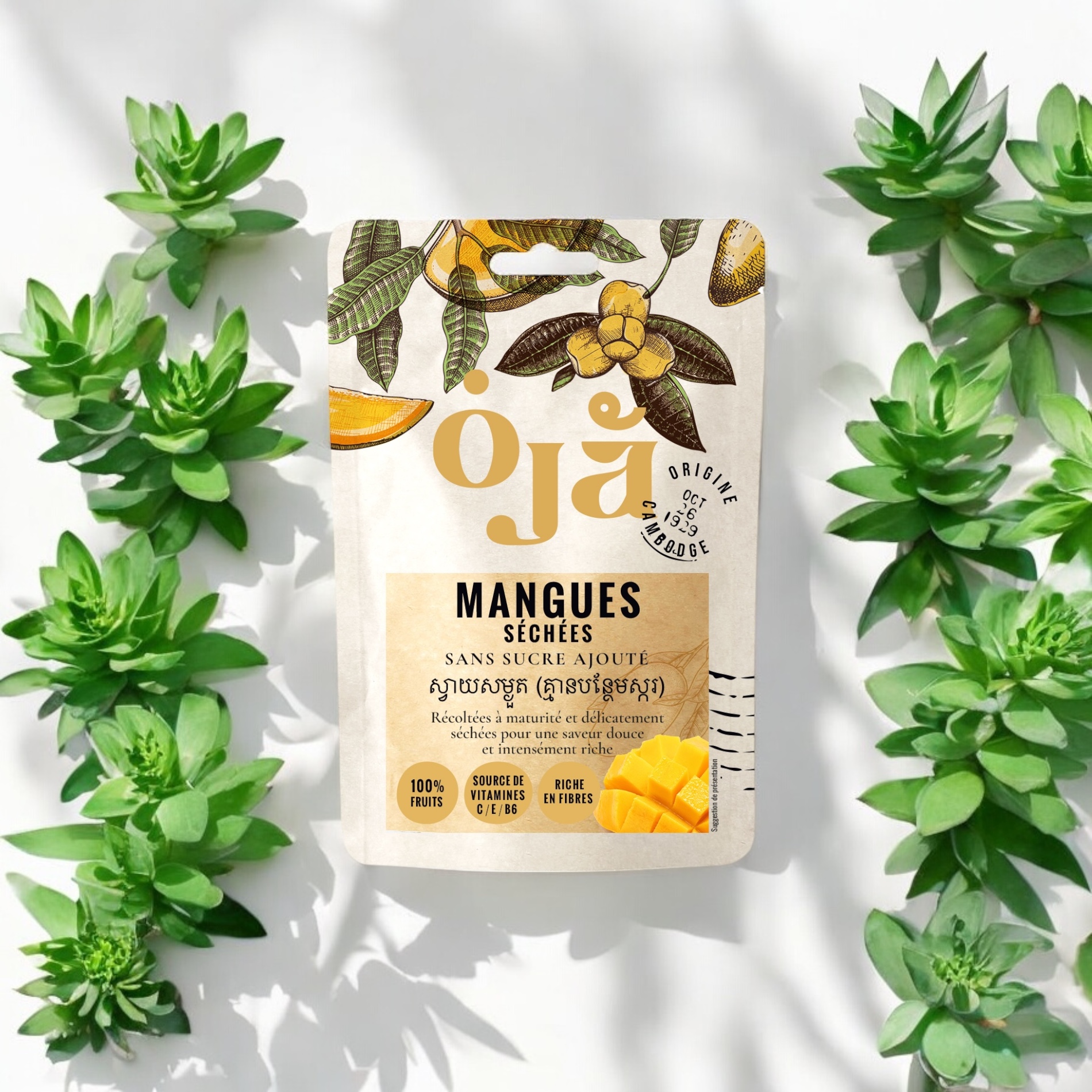 Micronutrition et fruits séchés OJA : de petits morceaux, de grands bienfaits pour votre bien-être quotidien