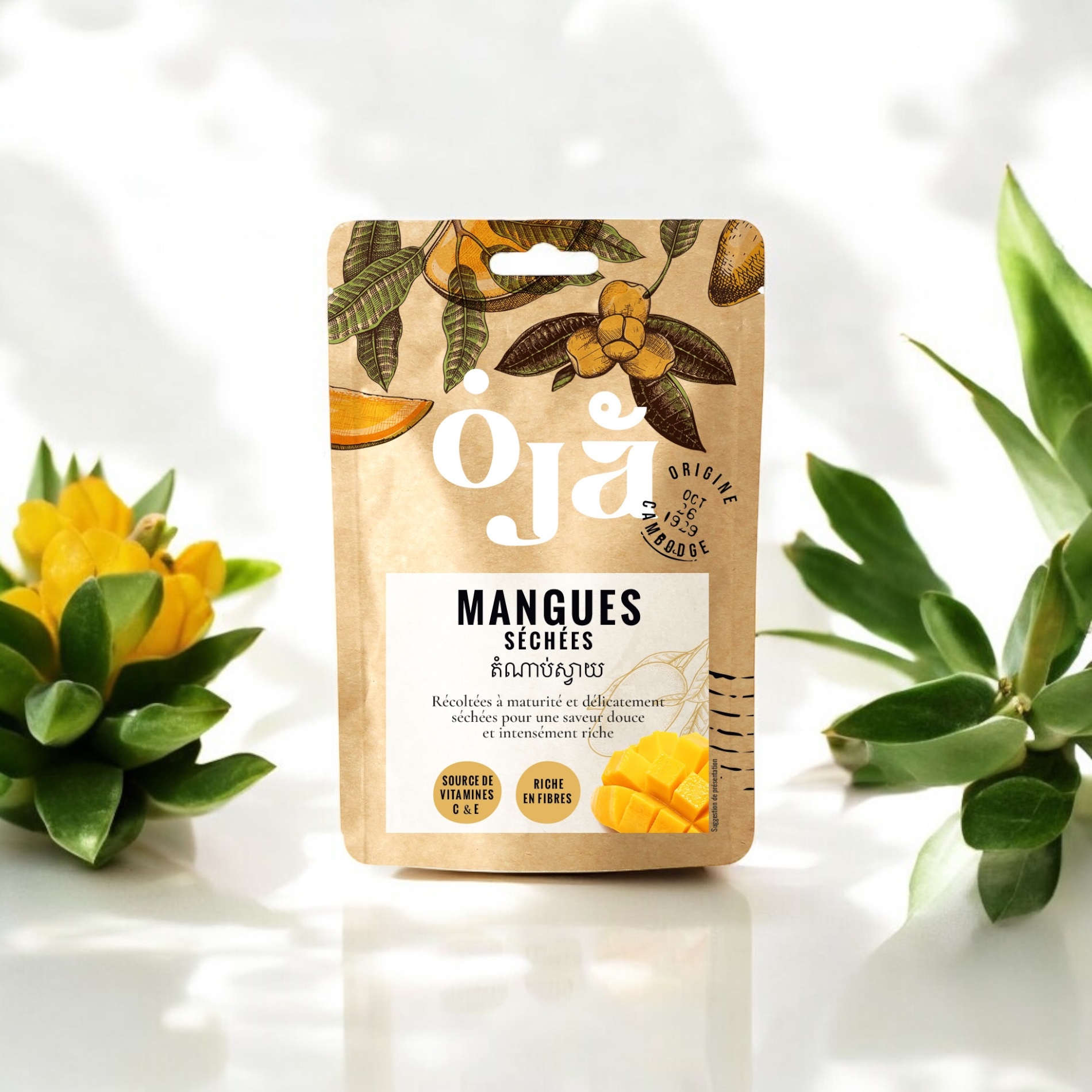 Micronutrition et fruits séchés OJA : fibres, vitamines et énergie durable pour un quotidien sain et dynamique